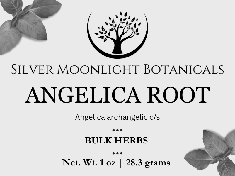 Angelica Root | Radix Archangelicae
