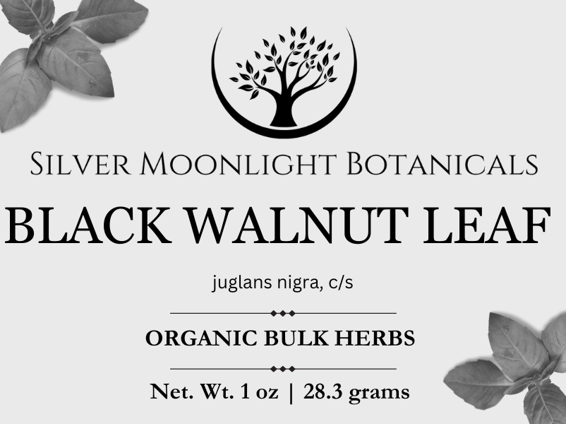 Black Walnut Leaf | Organic Black Walnut Leaf | Juglans nigra