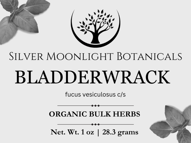 Bladderwrack| Organic Bladderwrack | Fucus Vesiculosus