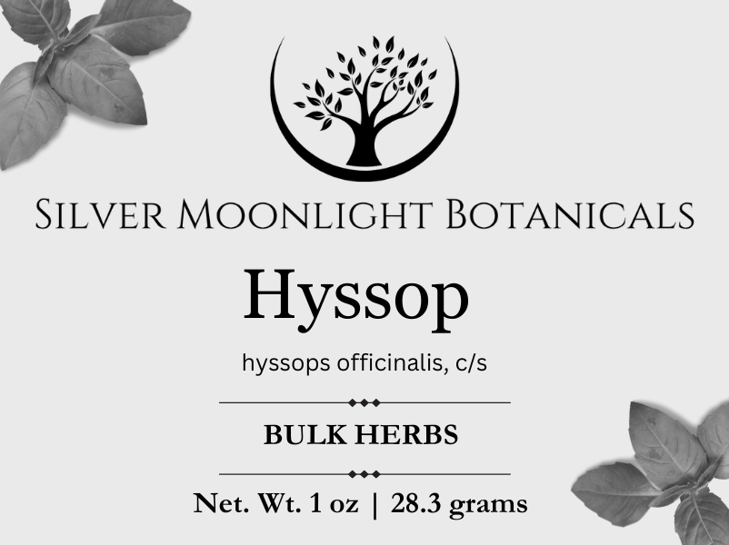 Hyssop | Hyssopus officinalis