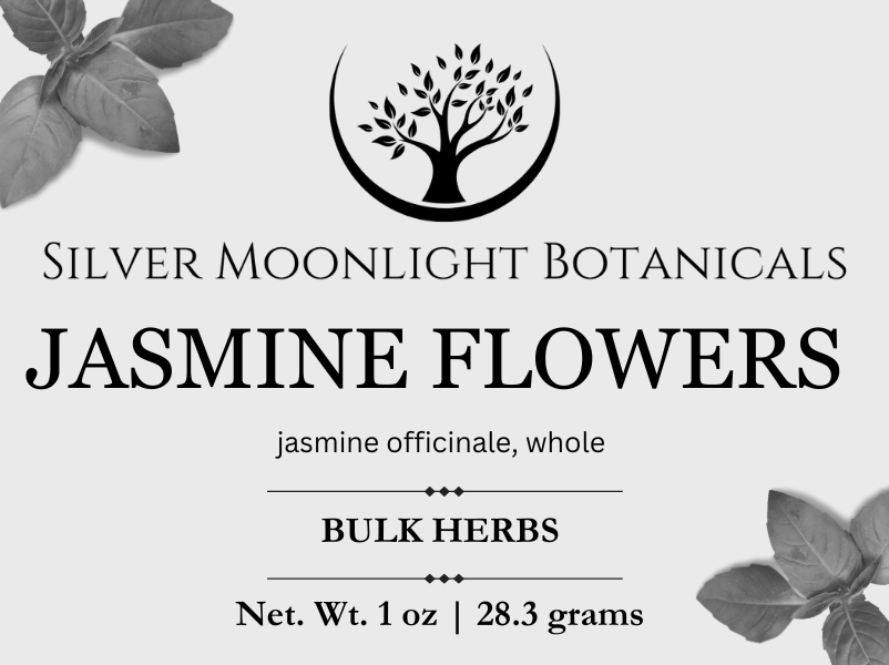 Jasmine Flowers | Whole Jasmine Flowers | Jasminum officinale
