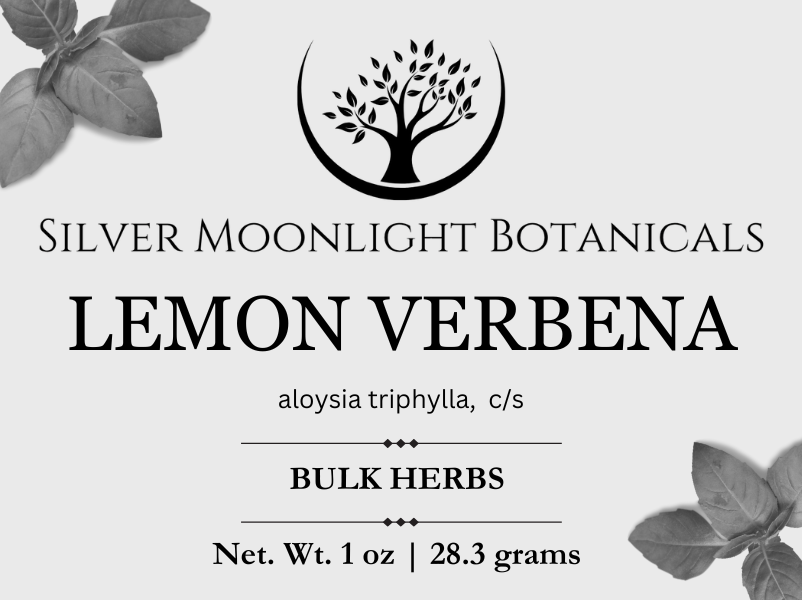 Lemon Verbena | Aloysia triphylla