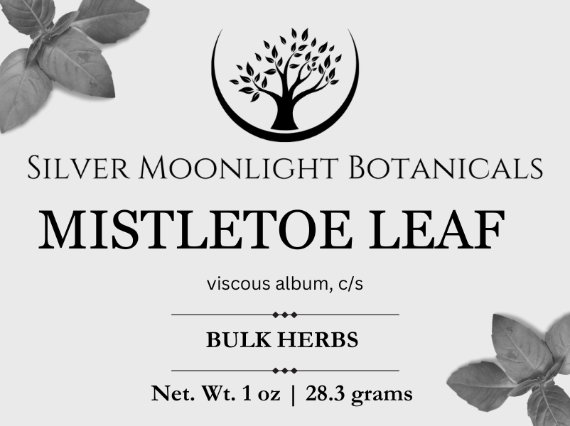 Mistletoe Leaf | Viscum album