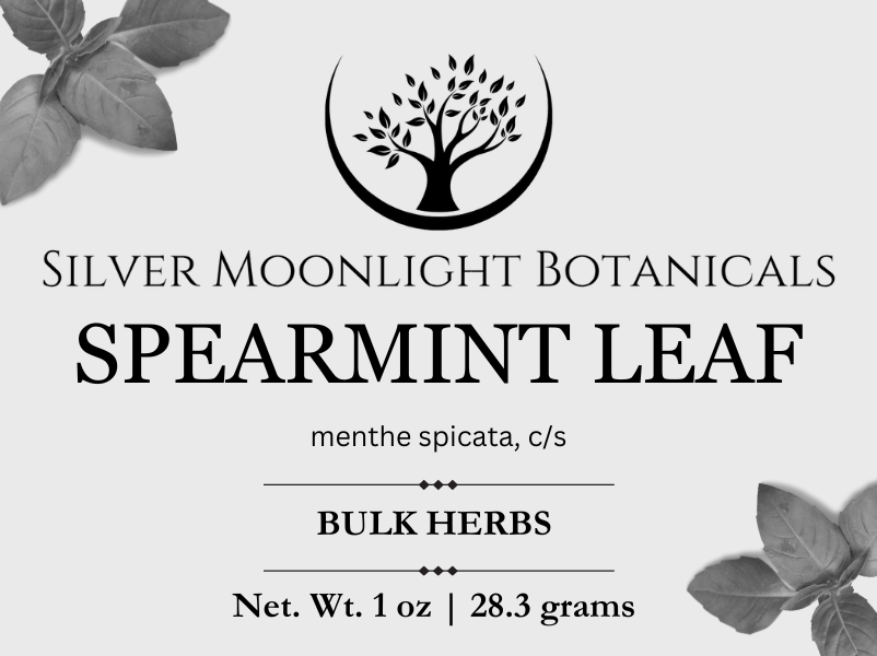 Spearmint Leaf | Spearmint Tea | Mentha spicata