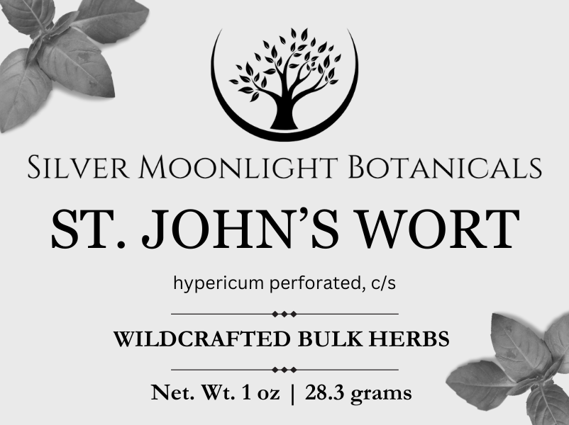 St. John’s Wort | Wildcrafted St. John’s Wort | Hypericum perforatum