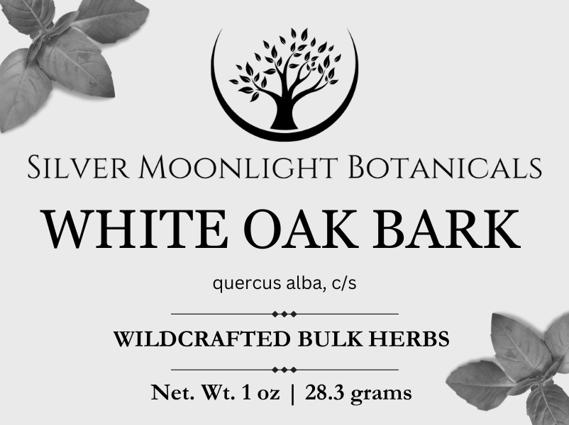 White Oak Bark | Wildcrafted White Oak Bark | Quercus alba