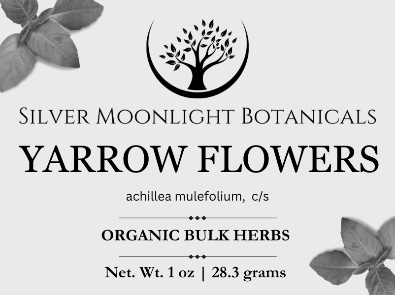 Yarrrow Flower | Organic Yarrow Flower | Achillea millefolium