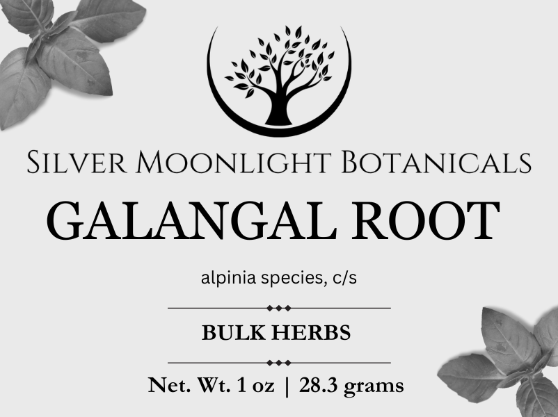 Galangal Root | Alpinia species | Low John the Conqueror