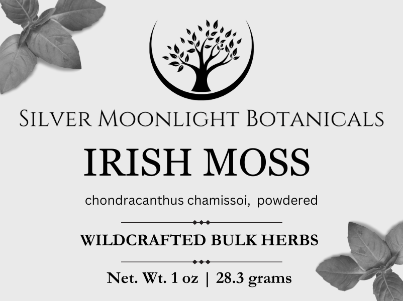 Irish Moss Powder | Wildcrafted Iris Moss Powder | Sea Moss Powder | Chondracanthus chamissoi