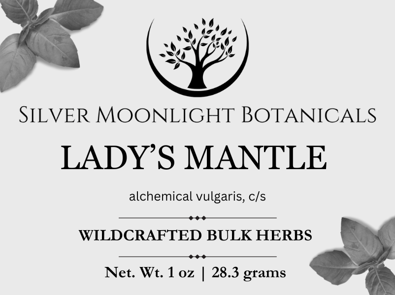 Lady’s Mantle Herb | Wildcrafted Lady’s Mantle Herb | Alchemilla vulgaris