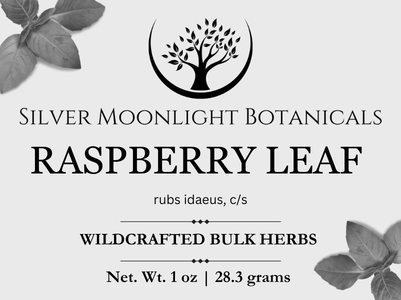 Raspberry Leaf | Wildcrafted Raspberry Leaf | Raspberry Leaf Tea | Rubus idaeus