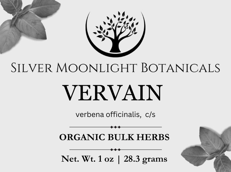 Vervain | Organic Vervain | Verbena officinalis