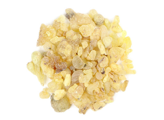 Frankincense Resin Pieces | Frankincense Resin Tears | Boswellia carteri