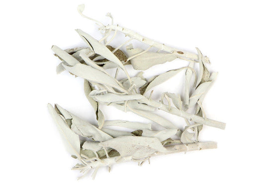 White Sage Leaf | Loose White Sage Leaf | Ceremonial White Sage | Salvia apiana 1 oz